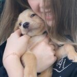 Kyla Kenedy Instagram - Not my dog but I definitely thought about stealing him