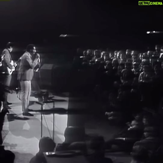 Kyla Kenedy Instagram - Otis Redding live at the Star-Volt European tour 1966🔉🪽 my girl !!💫✨!🌌🌟!!