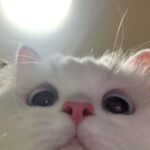 Kyla Kenedy Instagram - accidentally opens up front camera