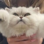 Kyla Kenedy Instagram - besties
