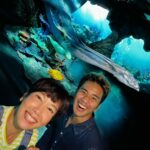 Kym Ng Instagram - a joyful day 🩵❤️💛 #GiftOfJoy #channel5 #GardensByTheBay