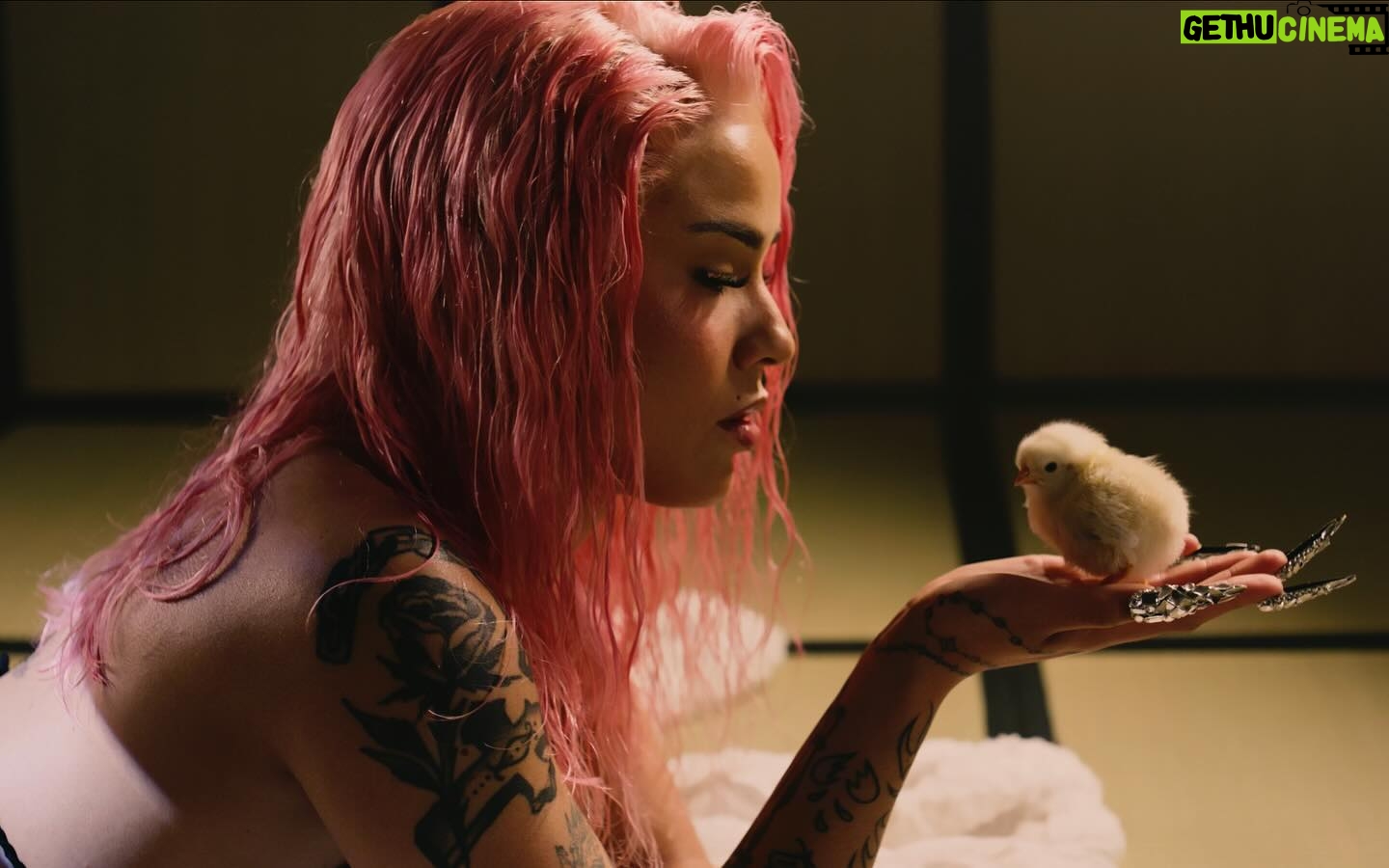 La Zowi Instagram - ORGASM OUT NOW HOES link in bio DIRECTED BY @mondrian1922 PRODUCED BY @belledenuitstudio LINE PRODUCER @jacobovaltier DOP @marianoroz TEAM ZOWI @noealoe AD ENEIDA @eneidayvuelta STYLIST @bluetoothgirl AS. STYLST @christiangxlxn MUAH @jvvxxnn ASSISTANT MUAH @remedash NAIL ARTIST @filhodokoro ART DIRECTOR @lucicorde MUAH CAST @andreaegidomuah STYLST CAST @andreaesti.vege AS. STYLIST @carlossemperev FOCUS PULLER @orlandostuwe 2ND CAMERA @gaborubio_ GAFFER @luciasalamnca SPARK 1 @adelamontoli SPARK 2 @paulacm26 SPARK 3 @jorge.aznar 1ST PA @raquelstnd 2ND PA @xceliaguillen EDIT @joseorgaz_ COLOR GRADING @gyem.rgb GRAPHIC DESIGN @paufabrellax TALENT 1 @marianaldezma TALENT 2 @romanreyes