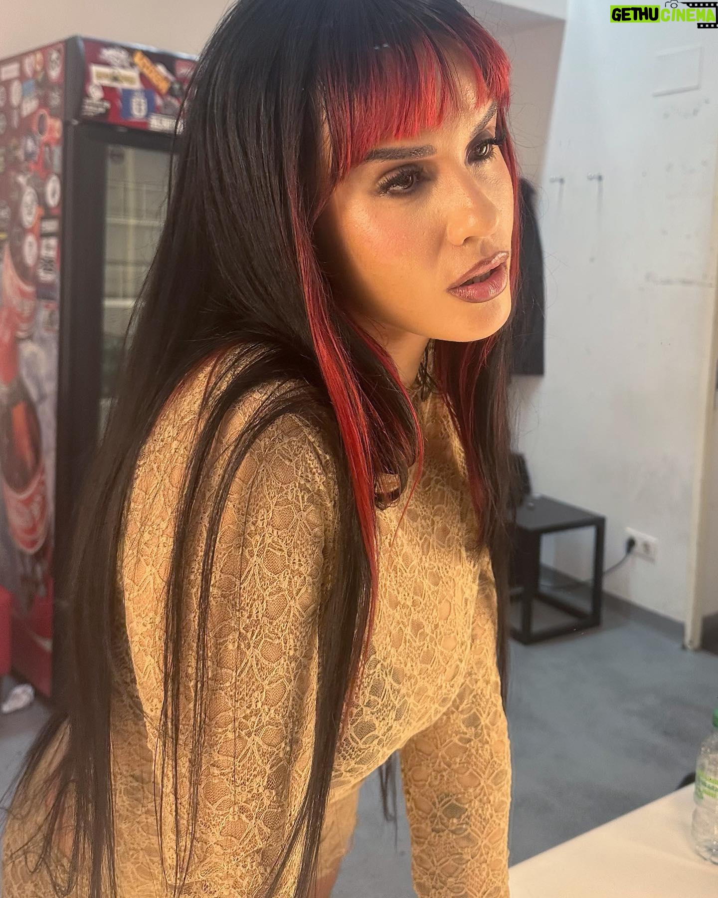 La Zowi Instagram - chile tais listos??? @shishibosspaulito