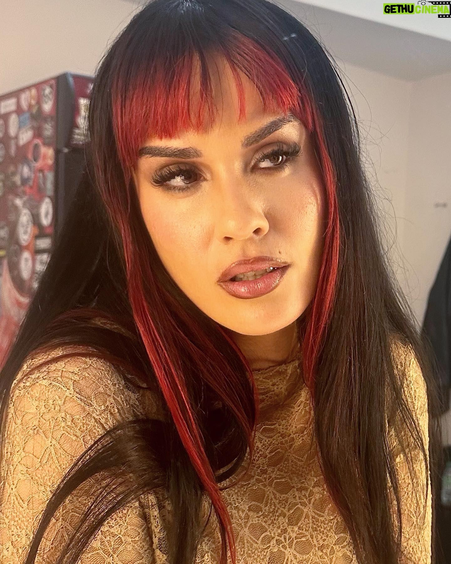 La Zowi Instagram - chile tais listos??? @shishibosspaulito