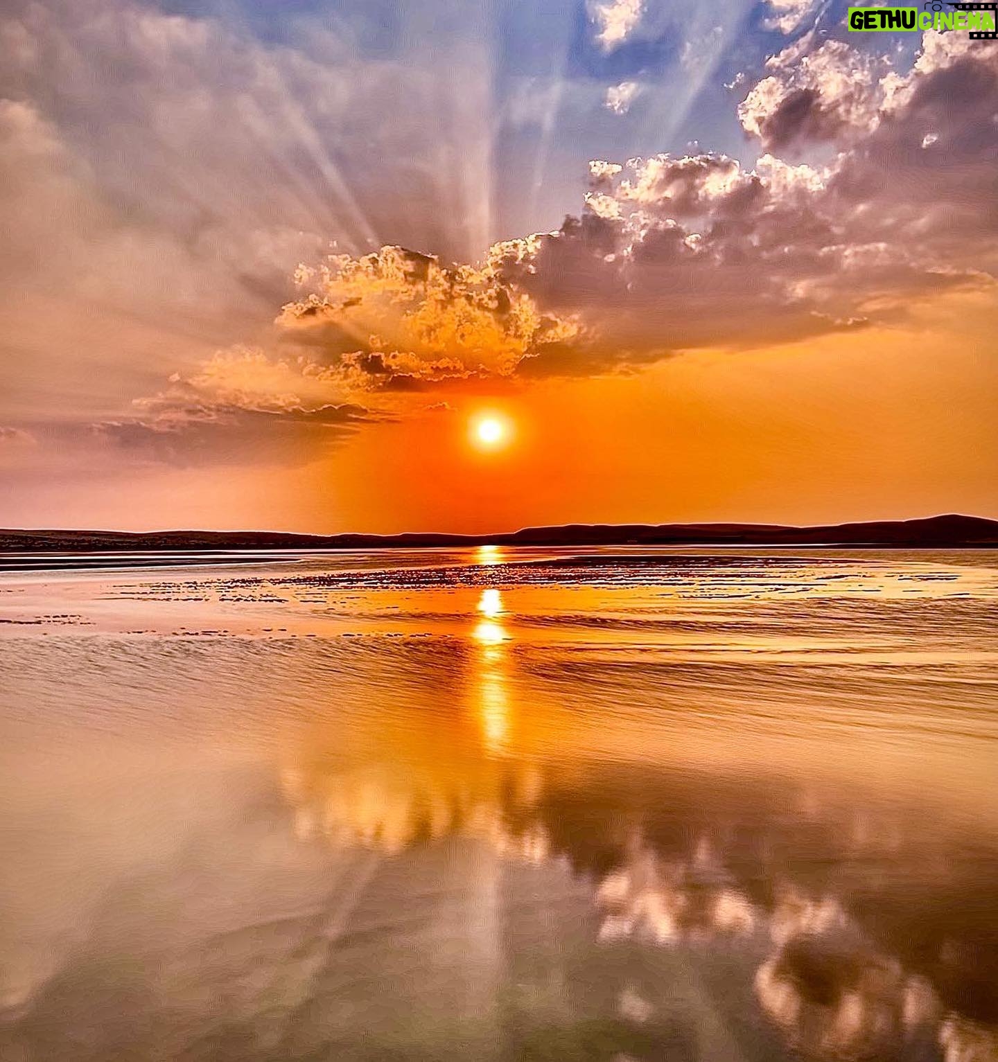 Laala Hazim - 391 Likes - When I started counting my blessings, I realized I have everything I could ever need🧡
جان احلى غروب اشوفة بهذا اليوم 🥰.. يمكن اخذت ١٠٠٠ صورة للشمس😛 شوفو الصور الاخيرات اكو احلى من هيجي غروب😭
#sunset #dohaqatar #autmanvibes #myhappymoments #sealine #dohalife #instagram #instaqatar #travelphotography #girlinred #peace #quiet #quiteplace #peachvibes #instairaq #dohainstagram