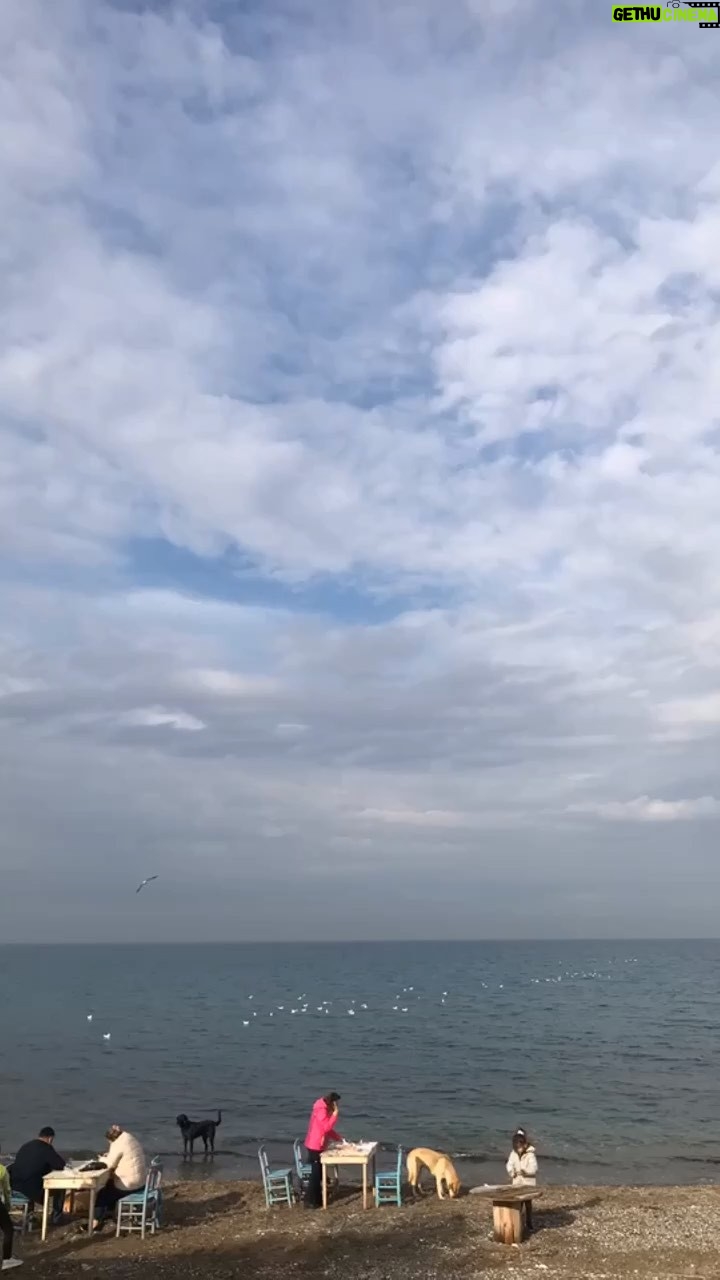 Laçin Ceylan - 173 Likes - party’s over
#walker
#cloud
#nature
#people
#naturelovers
#naturephotography
#billieeilish #songsofcomfort