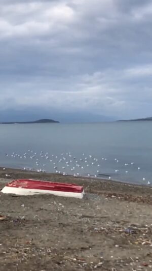 Laçin Ceylan Instagram - kirpiğime takılanlar 

#walker  #hellotürkiye #helloturkey 
#watercolorpainting 
#watercolorpaintingsubject 
#music #nature 
#videos #laçinceylan 
#lacinceylan