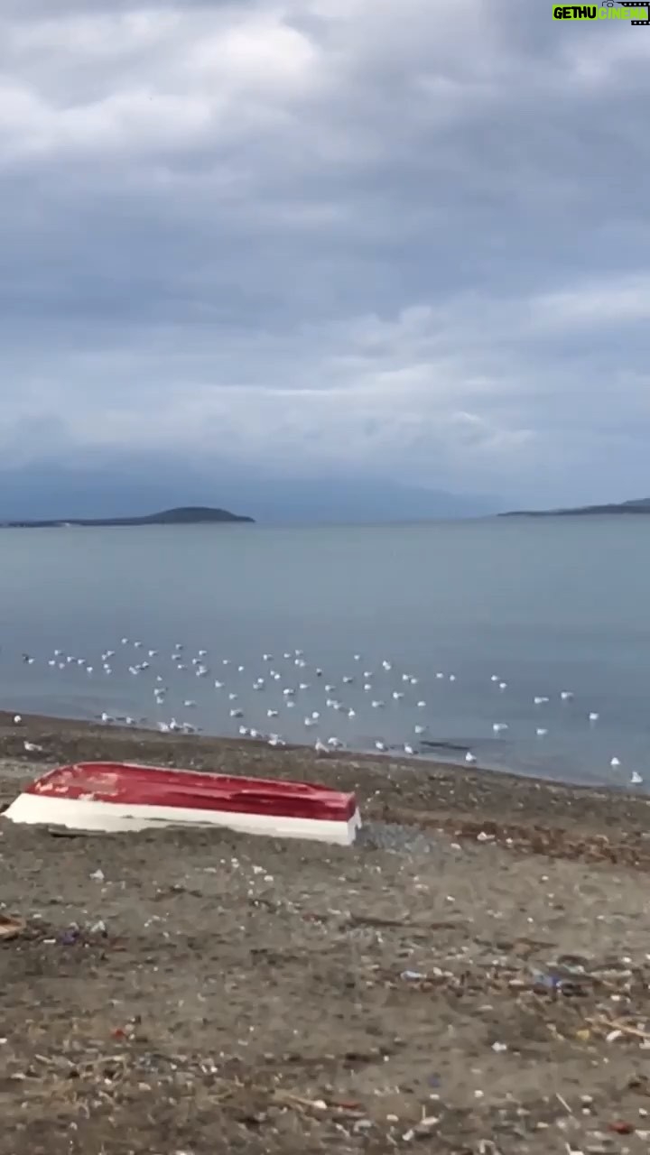 Laçin Ceylan - 148 Likes - kirpiğime takılanlar
#walker #hellotürkiye #helloturkey
#watercolorpainting
#watercolorpaintingsubject
#music #nature
#videos #laçinceylan
#lacinceylan