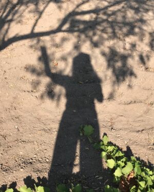 Laçin Ceylan Instagram - aman da sabahın ilk gölgeleri 🍇
doğanın yanında biz neyiz ki 🍃 ancak terminatör ... kök kurutmada dibini kazımada üstümüze yok... o da beni kazımış görüntüde... tek gerçek; yeşildir ve dünyayı kaplayan toprak 
#nature 
#green 
#earth
#shadow 
#goodmorning