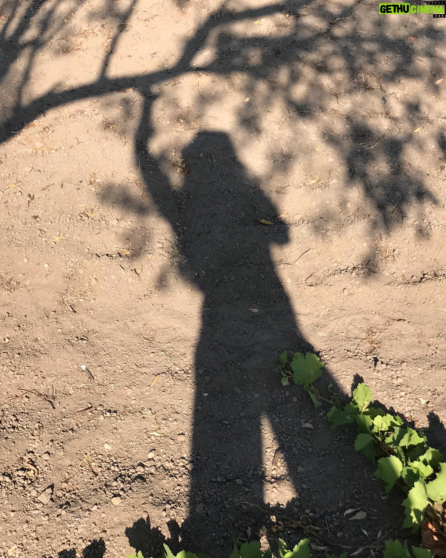 Laçin Ceylan - 3 Likes - aman da sabahın ilk gölgeleri 🍇
doğanın yanında biz neyiz ki 🍃 ancak terminatör ... kök kurutmada dibini kazımada üstümüze yok... o da beni kazımış görüntüde... tek gerçek; yeşildir ve dünyayı kaplayan toprak
#nature
#green
#earth
#shadow
#goodmorning
