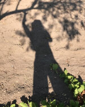 Laçin Ceylan Instagram - aman da sabahın ilk gölgeleri 🍇
doğanın yanında biz neyiz ki 🍃 ancak terminatör ... kök kurutmada dibini kazımada üstümüze yok... o da beni kazımış görüntüde... tek gerçek; yeşildir ve dünyayı kaplayan toprak 
#nature 
#green 
#earth
#shadow 
#goodmorning