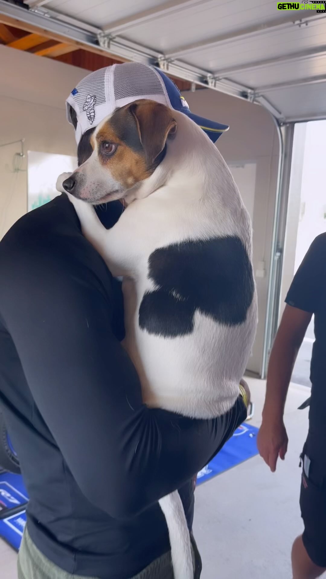 Laila Bagge - 13.3K Likes - Asså orkar inte 😂 Ramos blick och hur han håller om och sitter på @koroshkananian 😂😂😂 som ett barn, med en blick som säger Han är min, inte din!! ❤️😂