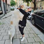 Laila Bagge Instagram - Fick besök idag på kontoret 🐶 @andrejborzoi