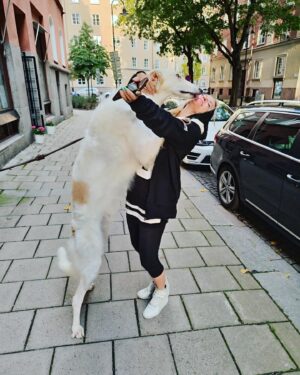 Laila Bagge Instagram - Fick besök idag på kontoret 🐶 @andrejborzoi