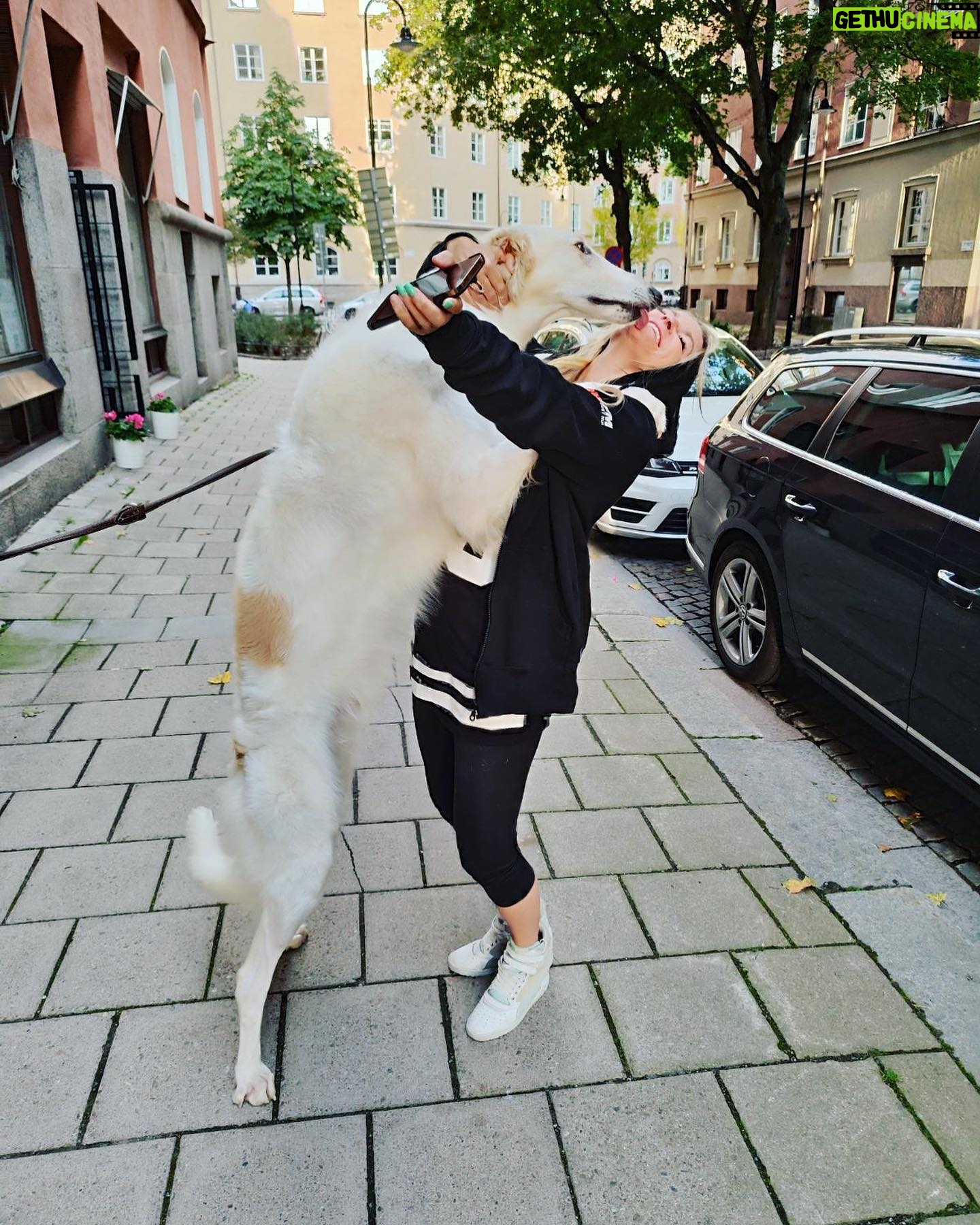 Laila Bagge - 7.3K Likes - Fick besök idag på kontoret 🐶 @andrejborzoi