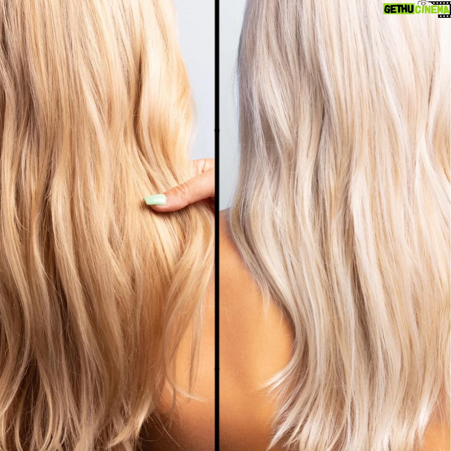 Laila Bagge Instagram - Advertising @kolai.se vårat silverschampo och silverbalsam ger den perfekta kalla blonda tonen i ditt hår! Tar bort allt det gula, swipa för att se före och efter tvätt! Ni hittar allt på Kolai.se eller på @apoteket @apotekhjartat @kronansapotek @lykosverige