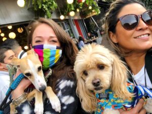 Laisha Wilkins Instagram - Mila y PanchoFacundo nos sacaron a pasear 🐾🐾