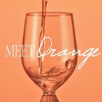 Lake Bell Instagram – Get some *skin contact* in your life. Proud to share this Orange wine and the tangerine-tinted dreamscape we built for it. We had an incredible team of female creators and multigenerational / LGBTQ  / BIPOC talent come together to make this happen.

@lakebell 
@vincint 
@taylordvasek 
@mayamused 
@simone.niamani 
@lizbarclay_