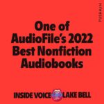 Lake Bell Instagram - SEXY GIFT IDEA UNDER $25? How about a critically acclaimed book that I WILL PERSONALLY READ TO YOU!? Into you EARS. Super fun/easy to digest/thought provoking/silly/for EVERYONE. #giftideas #giftguide #bestof2022 @audible @applebooks @librofm