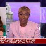 Lake Bell Instagram - Grateful for @joyannreid @thereidout for giving voice to @here4thekidsaction movement to demand for something more sensible/logical/humane for our right to live safely in this country. Love to @here4thekidsaction teammates @sairarao @tina_strawn_life @ckyourprivilege @theprogressivists