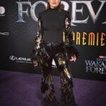 Lake Bell Instagram – A night to remember. #wakandaforever @marvelstudios @marvel
Fit @albertaferretti @louboutinworld @zadrianandsarah 
Glam @lizlash @deanroybal
