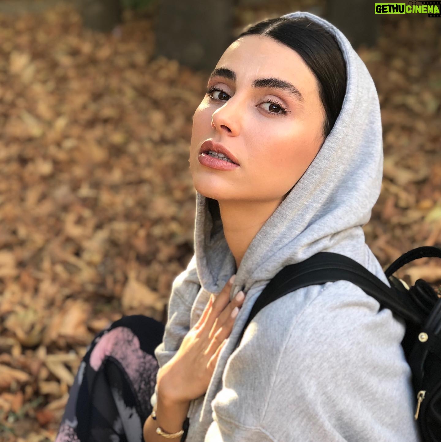 Laleh Marzban Wiki Biography Age Photos Spouse And More Laleh Marzban Wiki Biography Age Photos Spouse And More
