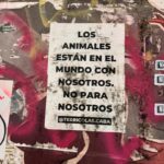 Lali González Instagram - No le digas te amo…decile te parto ❤️ Por fin en Buenos Aires 🫶🏼🇦🇷🙌🏻 Que comience la Furia 🔥