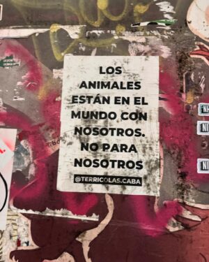 Lali González Instagram - No le digas te amo…decile te parto ❤️

Por fin en Buenos Aires 🫶🏼🇦🇷🙌🏻

Que comience la Furia 🔥