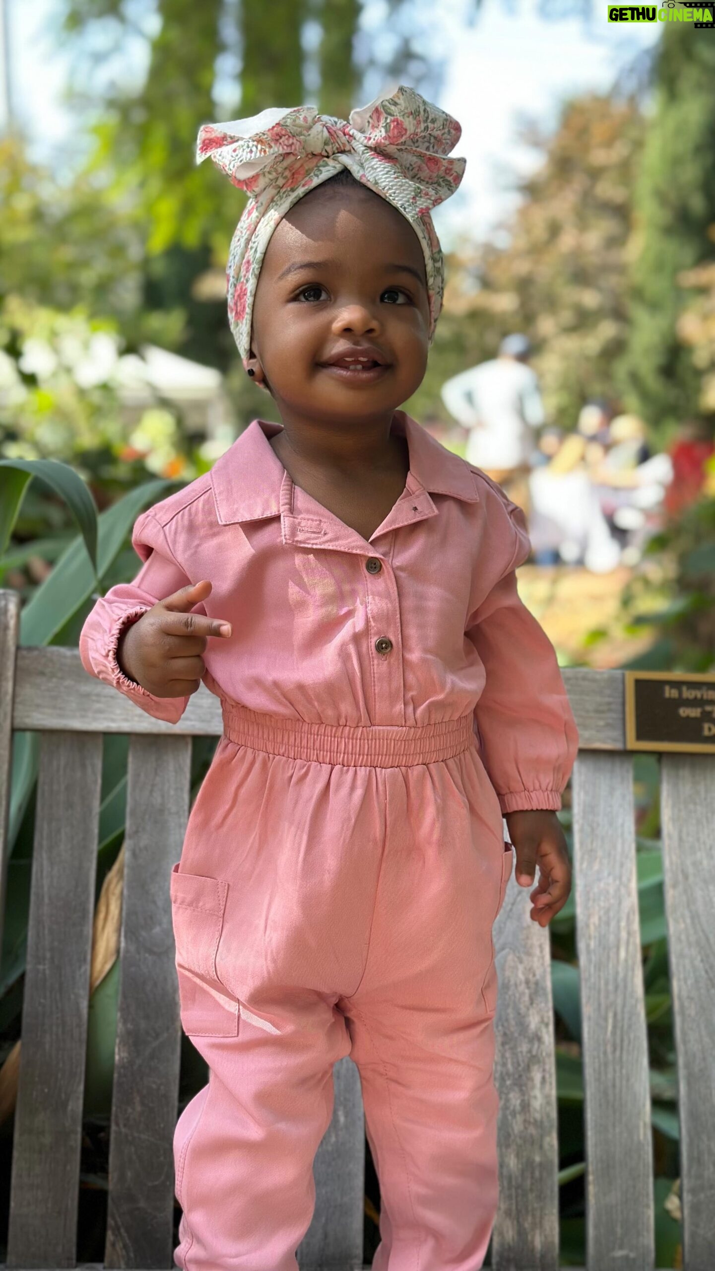 Lanisha Cole Instagram - Feeling extremely blessed to be this little one’s mom 🥹💖✨ Watching you grow, learn, and discover the world at 14 months fills my heart with so much joy and love. You’re not just beautiful, but also incredibly smart, and I’m endlessly grateful for every moment with you. Here’s to many more adventures together! 🌱❤️ . #onyxice #arlingtongardenpasadena #blessedmom #growinguptoofast #girlmomlife #babygirl