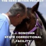 Lanisha Cole Instagram - “The Herd Within Project: R.J. Donovan Correctional Facility” We documented Rebels Farm and their Equine Therapy Sessions with inmates at a maximum security prison. Every individual involved was moved and impacted in some way including us as filmmakers. Directed By: @vincentdemaria_ Produced By: @brianpaulkuba @misslanishacole @unicorn__gypsy @kennnwollen Special Thank you to the prison staff and all the inmates who participated in this project.