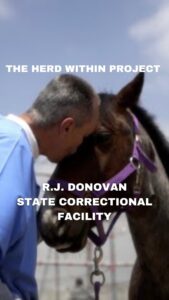 Lanisha Cole Instagram - “The Herd Within Project: R.J. Donovan Correctional Facility” We documented Rebels Farm and their Equine Therapy Sessions with inmates at a maximum security prison. Every individual involved was moved and impacted in some way including us as filmmakers. Directed By: @vincentdemaria_ Produced By: @brianpaulkuba @misslanishacole @unicorn__gypsy @kennnwollen Special Thank you to the prison staff and all the inmates who participated in this project.