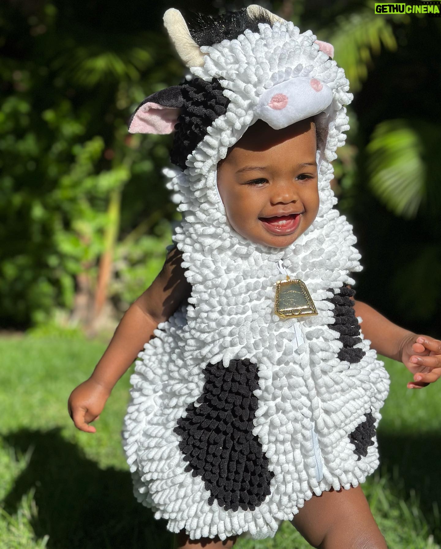 Lanisha Cole Instagram - HAPPY Halloween! 🐝❤️🐄 . . #onyxice #halloweencostumes