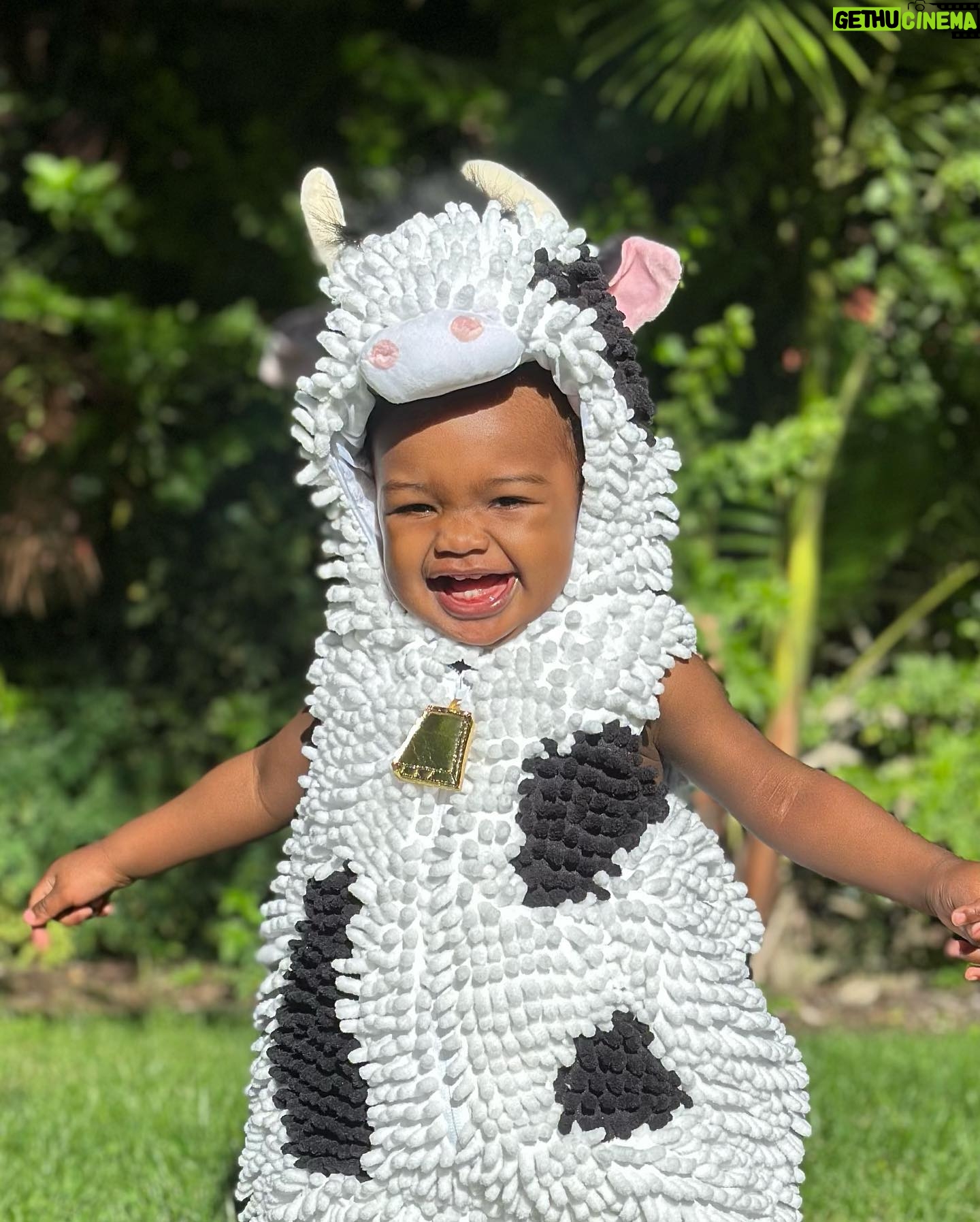 Lanisha Cole Instagram - HAPPY Halloween! 🐝❤️🐄 . . #onyxice #halloweencostumes