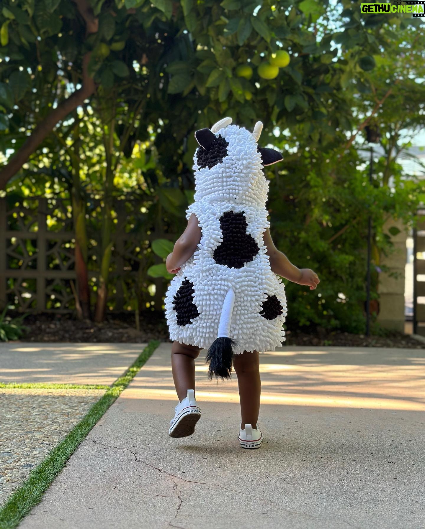 Lanisha Cole Instagram - HAPPY Halloween! 🐝❤️🐄 . . #onyxice #halloweencostumes