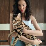 Lanlalin Tejasa Weckx Instagram - สติ คือ ชื่อแมว ไร้สติ คือ เรา