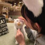 Lanlalin Tejasa Weckx Instagram - อยากเลี้ยงแมวเทาเพิ่มมั้ยค่ะ ตัวขวา เลี้ยงง่าย กิน กับ นอนเก่ง ดื้อบ้าง ซนบ้าง