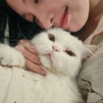 Lanlalin Tejasa Weckx Instagram - นั่งดูการ์ตูนกับต้าวแมวเฒ่า