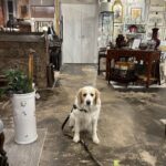 Lara Spencer Instagram - Some like antiquing more than others....