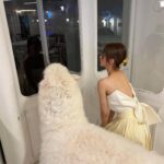 Larine Tang Yue-Ping Instagram - 在逃公主系列👸🏻 咩～～～～