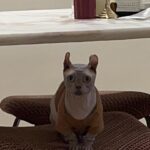 Larine Tang Yue-Ping Instagram - 當你的千禧小夥伴要求你擺出Y2K手勢， 不要怕，即管亂。