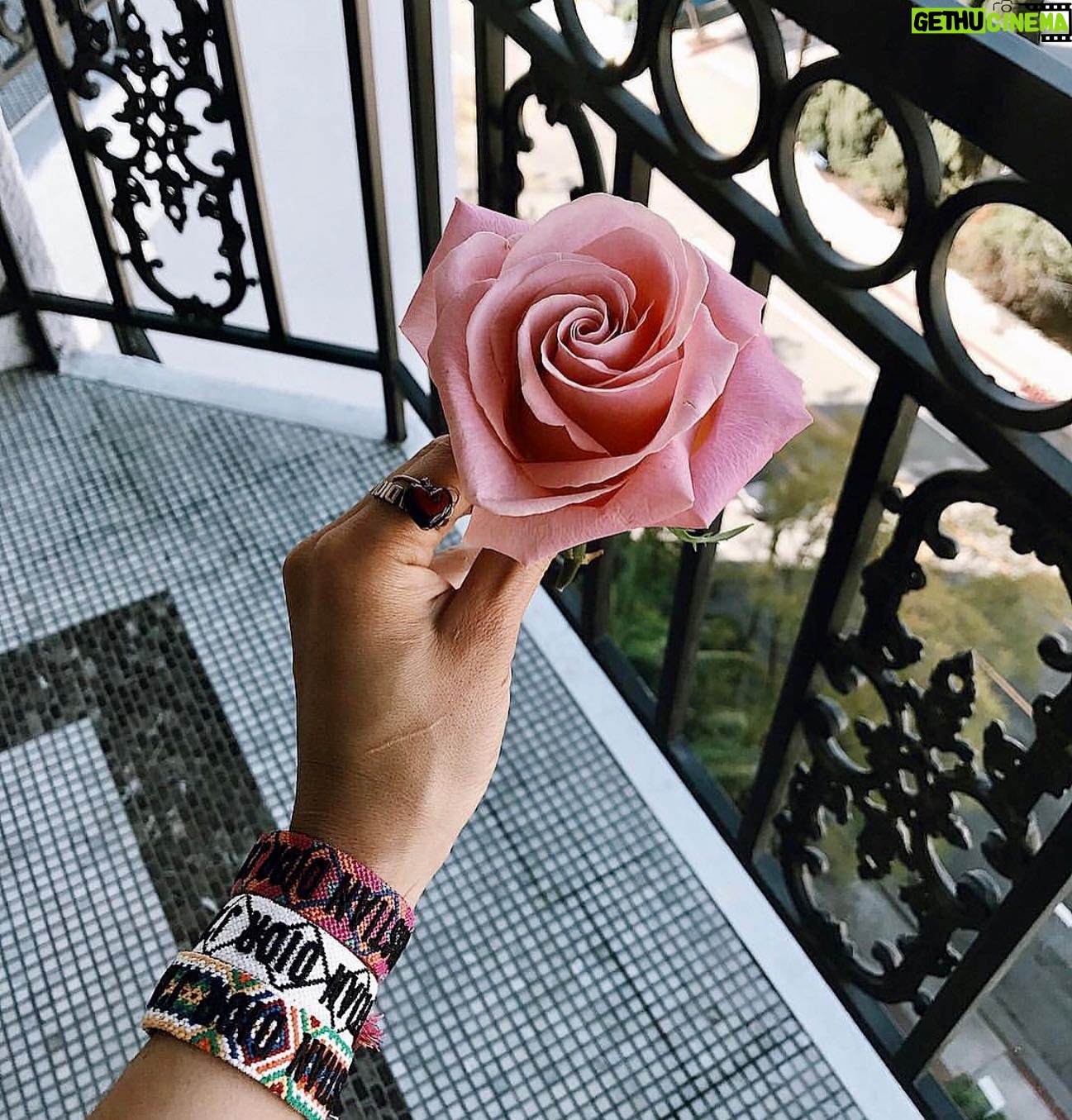 Laryssa Dias - 3 Likes - Para Você 🌹