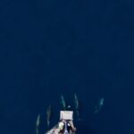 Laurène Arnoux Instagram - Quand un banc de dauphins décident de nous montrer le chemin 🐬 Images prises au drone lors de notre dernière expédition par @gascjulien