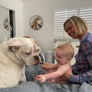 Laura Bell Bundy Instagram - Today we said goodbye to our beloved bulldog Polly. Most bulldogs don’t jump fences and live till they’re 14, but Polly did. She had the spirit of a puppy her whole life, spry, energetic, loving. She had some real FOMO and never wanted to miss an opportunity to socialize or meet a new human she could love on.  She LOVED people. She’d try to sleep on my face sometimes.  She could do paw and kiss on command. She was such a good listener.  She was such a pretty pup. That FACE! When Thom and I met, she was there, when we married, when we had Huck, she was there . Huck’s first word was ‘Dog’ bc he loved Polly.  Polly has always been there. It’s going to feel so empty without her.  She will always be missed and always in my heart. I love you Polly Wally doodle. 💔 #puppylove