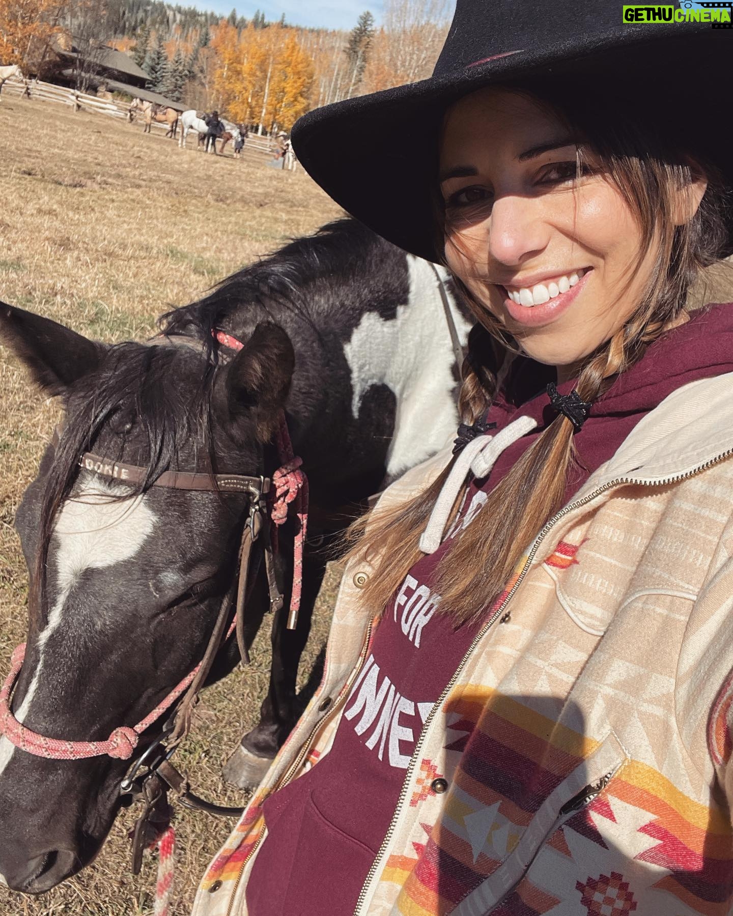 Laura Bailey Instagram - Guess I’m a horse girl now ✨