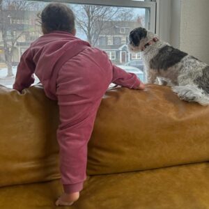 Laura Benanti Instagram - I’ve been head down writing LAURA BENANTI: NOBODY CARES and Momming so I haven’t been on here very much and it has been niiiiice for my braaaaiiinnn. Here’s what the young’s call a “photo dump”? Shout out to my husband @impbrown for his tireless support and patience and for fully embracing the intense lady energy in our house. 👩 👧 👶 🐩 🐩
