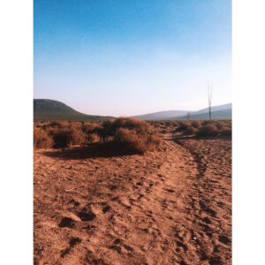 Laura Berlin Instagram - #safari #southafrica