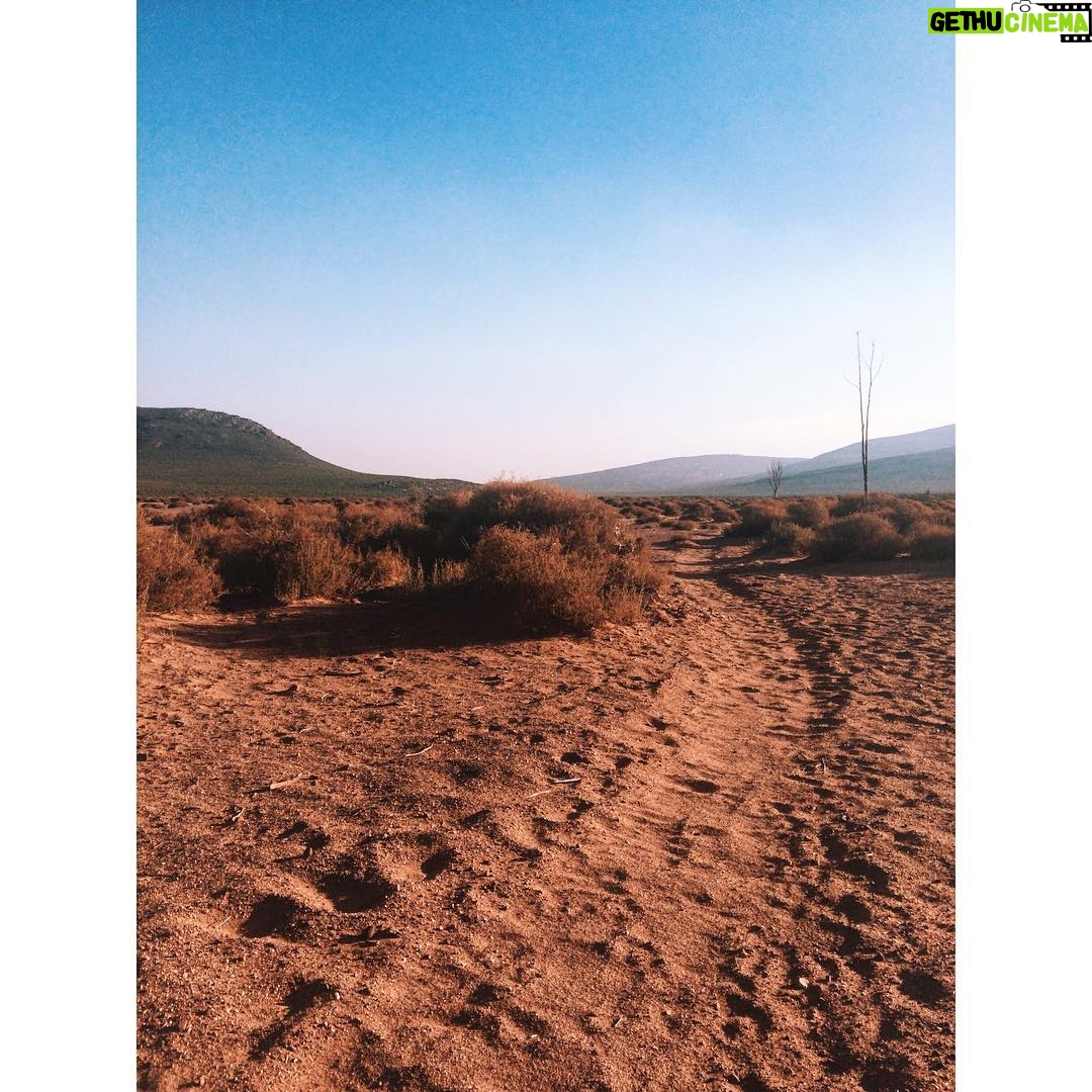 Laura Berlin - 2.7K Likes - #safari #southafrica