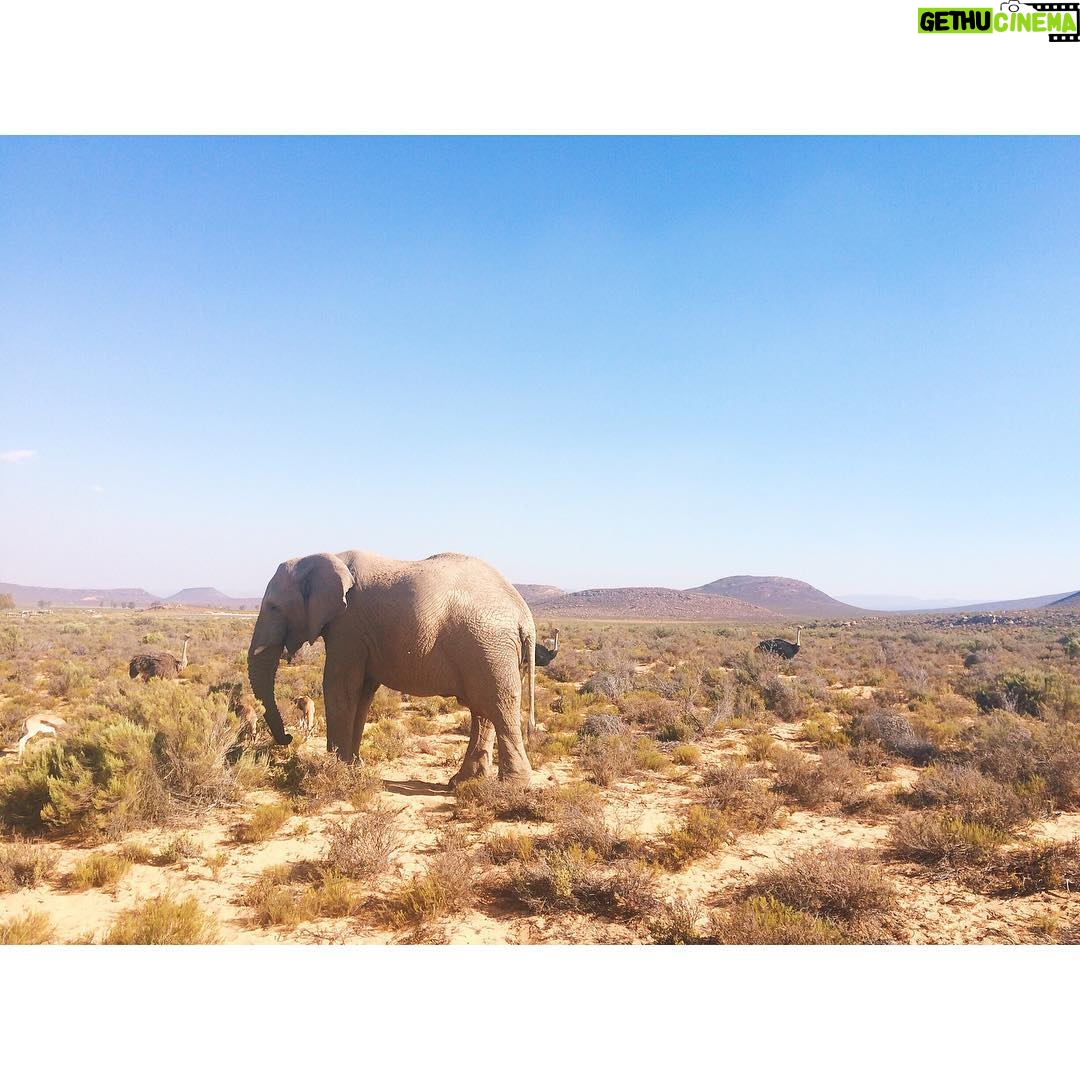 Laura Berlin - 3.1K Likes - #safari #southafrica