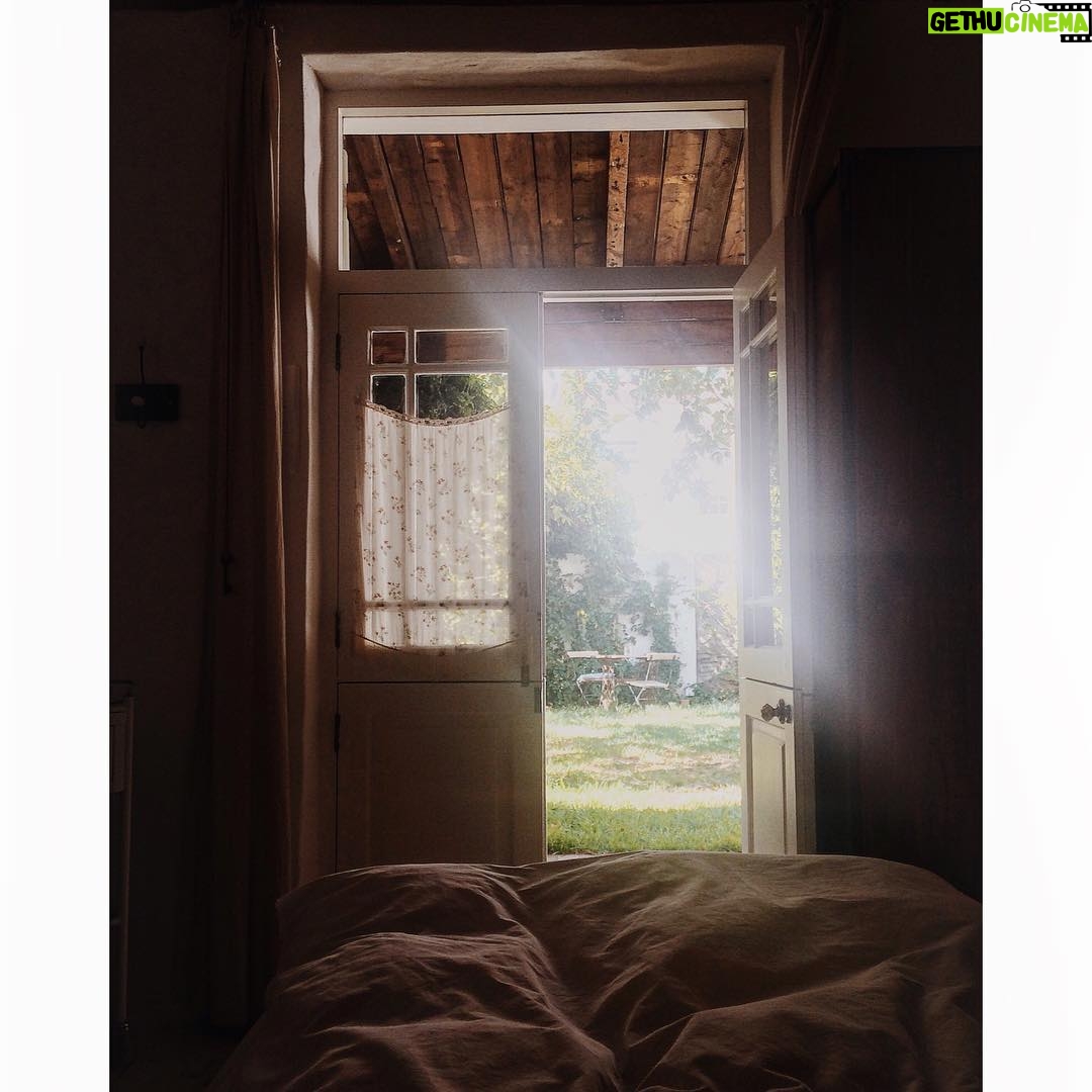 Laura Berlin - 2.8K Likes - this morning. #guesthouse #southafrica #capetown #gardens #kloofstreet