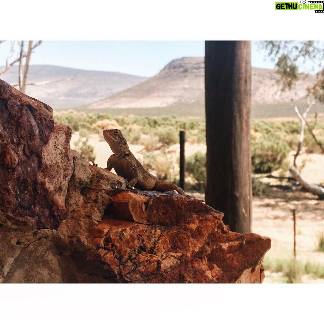 Laura Berlin - 2.6K Likes - #safari #southafrica